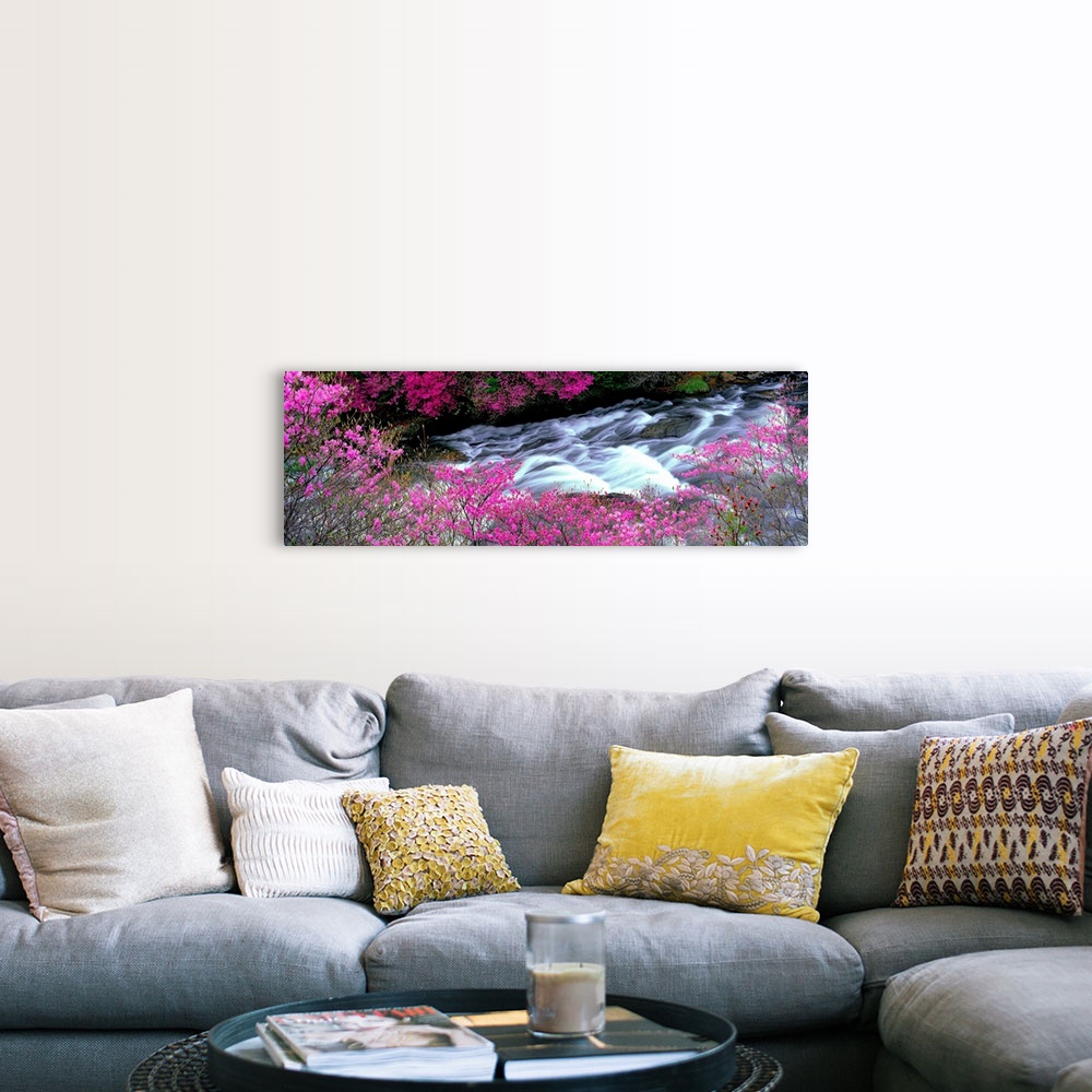 A farmhouse room featuring A panoramic of a river lined with spring flower blossoms photographed with time lapsed photograph...