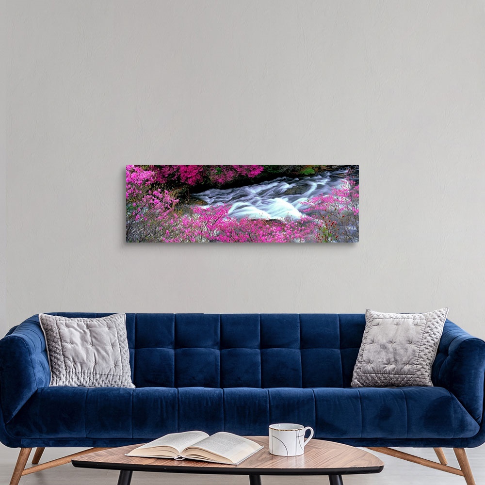 A modern room featuring A panoramic of a river lined with spring flower blossoms photographed with time lapsed photograph...