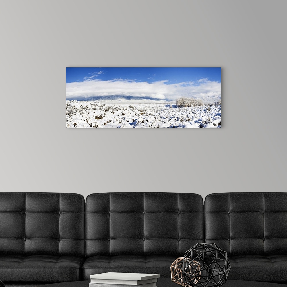 A modern room featuring Sage covered with snow with Taos Mountain in the background, Sangre De Cristo Range, San Luis Val...