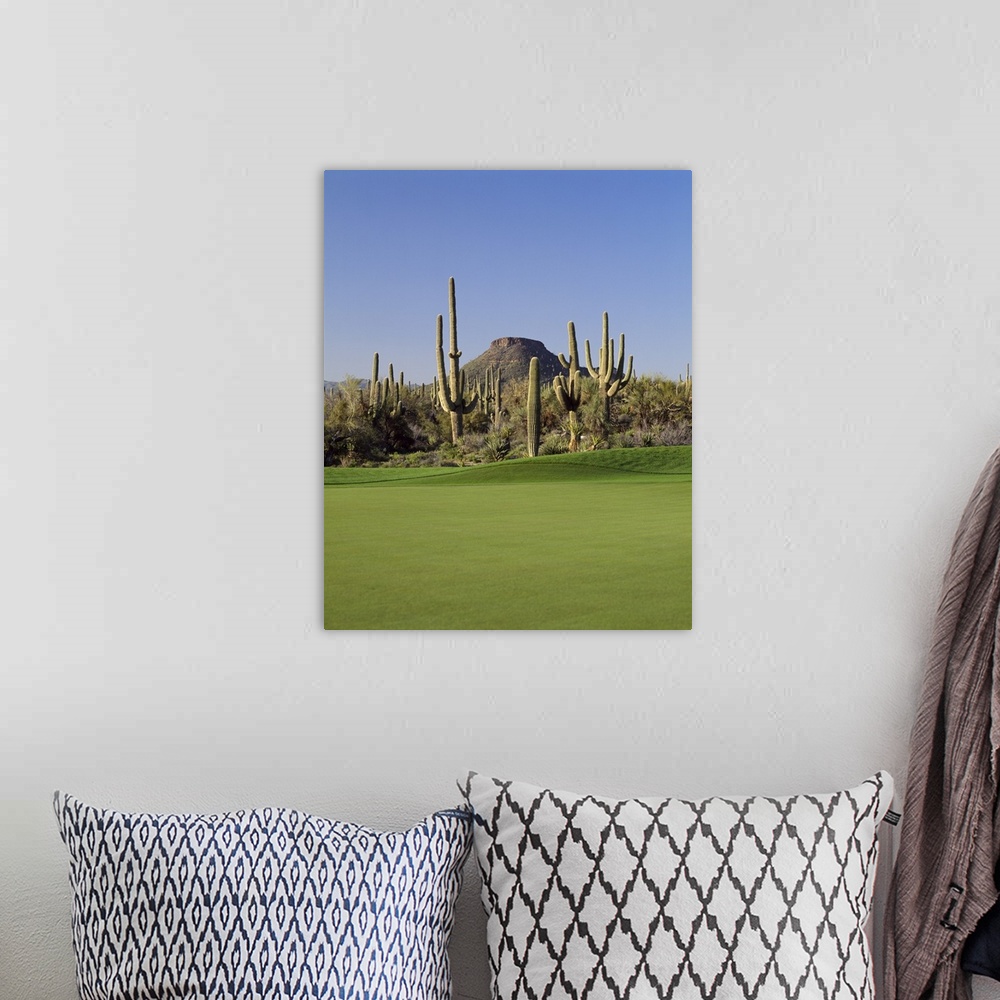 A bohemian room featuring Saguaro cacti in a golf course, Troon North Golf Club, Scottsdale, Maricopa County, Arizona
