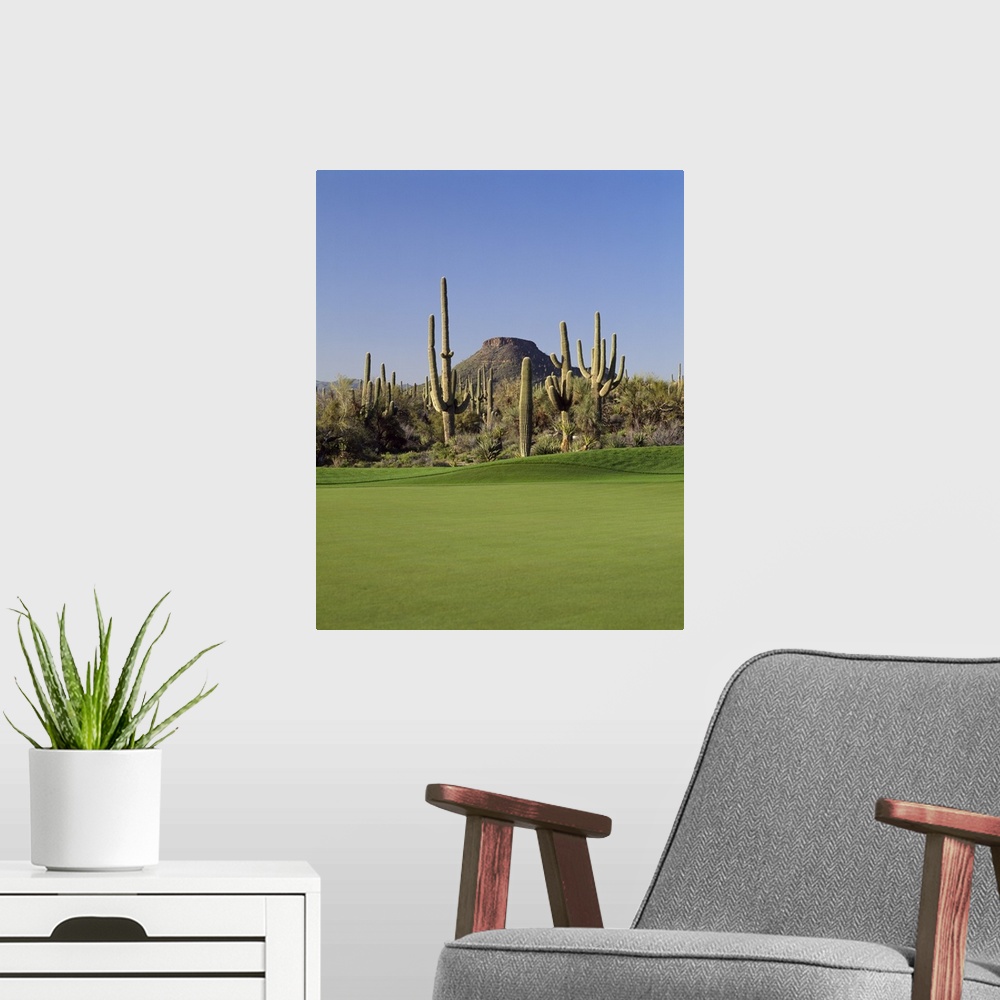A modern room featuring Saguaro cacti in a golf course, Troon North Golf Club, Scottsdale, Maricopa County, Arizona