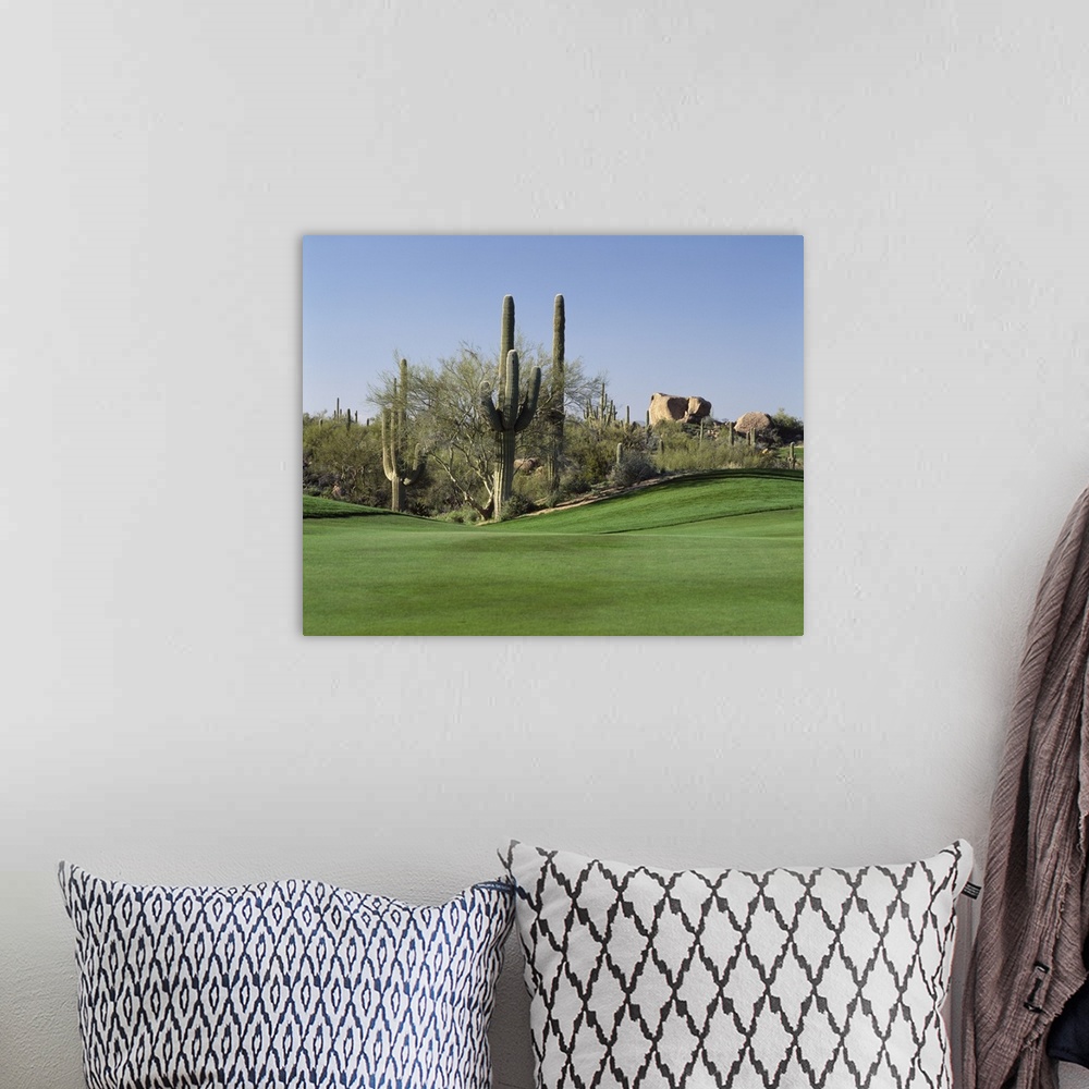 A bohemian room featuring Group of cactuses decorating the edge of a well-manicured lawn on a golf course, with big rocks i...