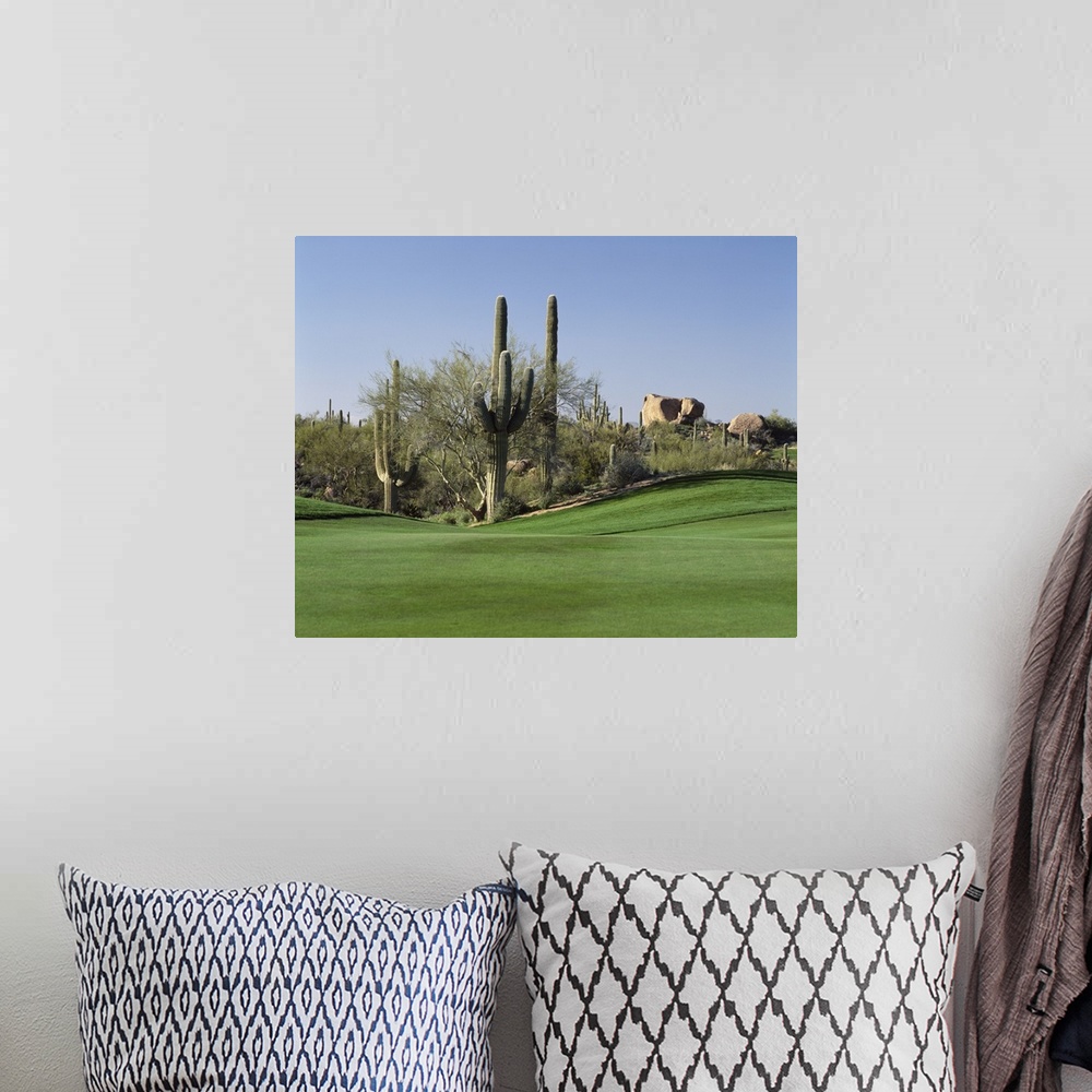 A bohemian room featuring Group of cactuses decorating the edge of a well-manicured lawn on a golf course, with big rocks i...