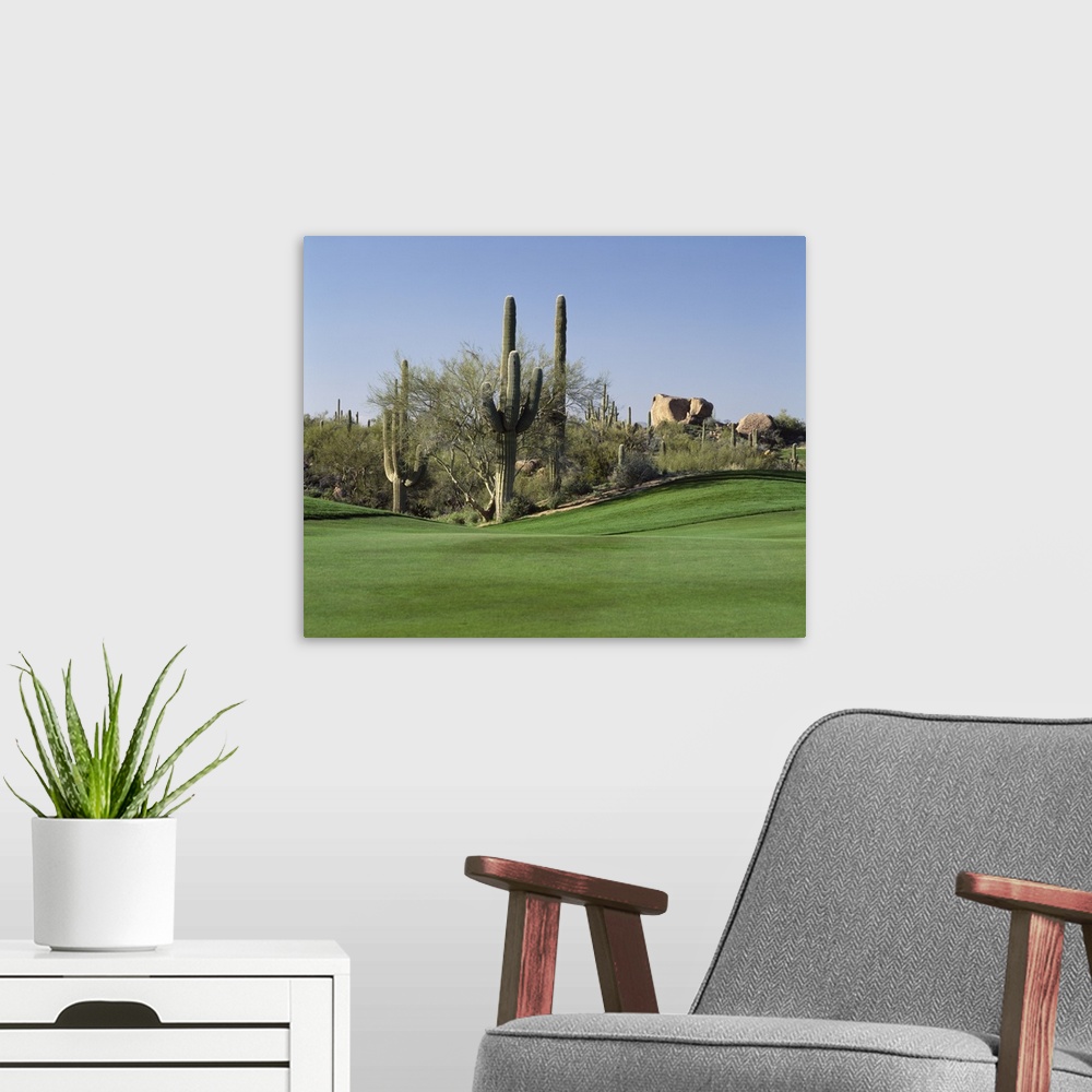 A modern room featuring Group of cactuses decorating the edge of a well-manicured lawn on a golf course, with big rocks i...