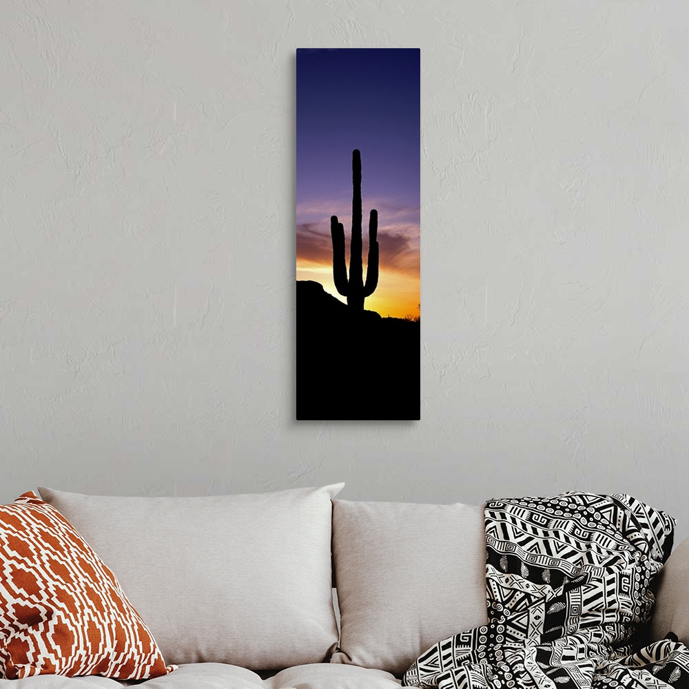 A bohemian room featuring Saguaro Cactus and Sunset Saguaro National Park Arizona