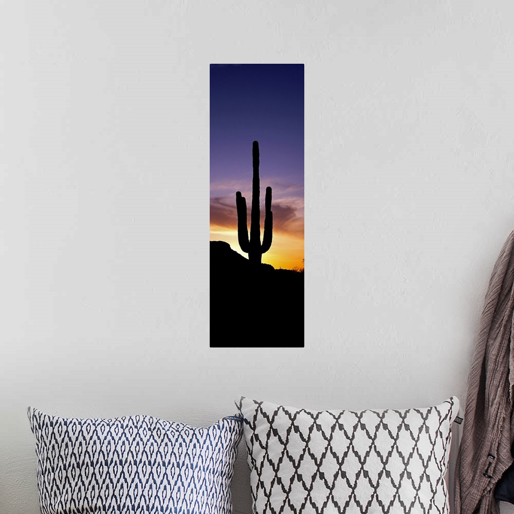 A bohemian room featuring Saguaro Cactus and Sunset Saguaro National Park Arizona