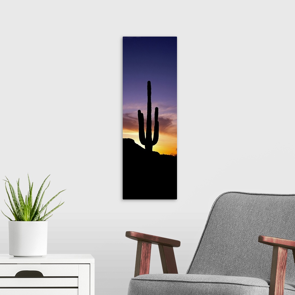 A modern room featuring Saguaro Cactus and Sunset Saguaro National Park Arizona