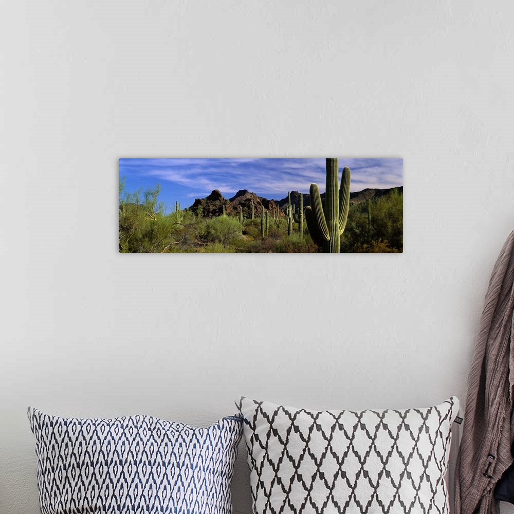 A bohemian room featuring Panoramic photograph of desert with cacti and bushes with mountains in the distance under a cloud...