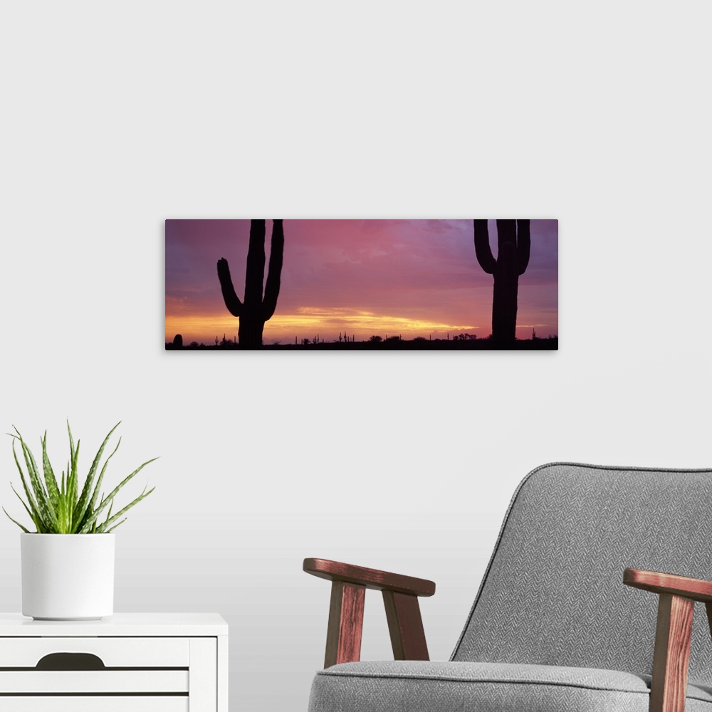 A modern room featuring Saguaros at Sunset Tonto National Forest Maricopa County AZ