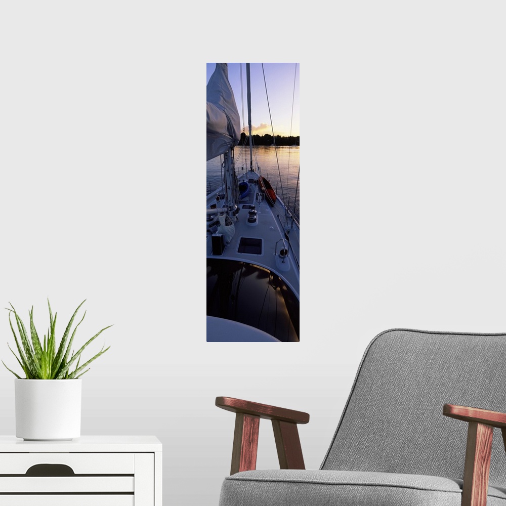 A modern room featuring Sailboat in the sea, Kingdom of Tonga,Vava'u Group of Islands, South Pacific