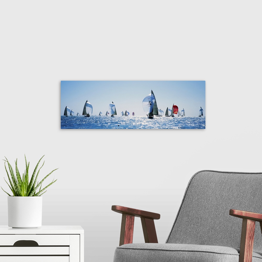 A modern room featuring Oversized, panoramic photograph of a large group of sailboats in rippling waters, sparkling in th...