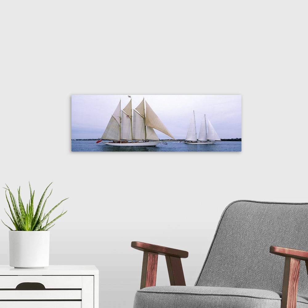 A modern room featuring Panoramic canvas photo of two big sailboats in a bay.