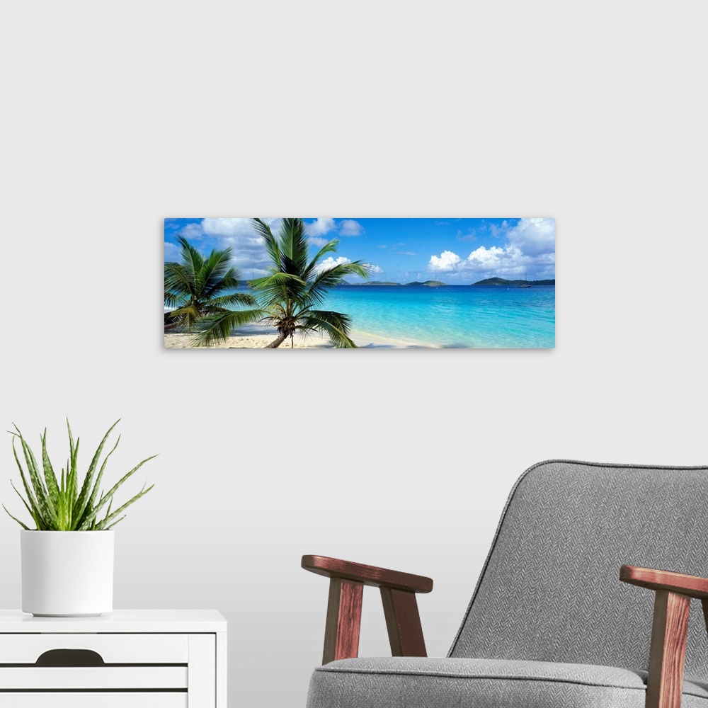 A modern room featuring A panoramic photograph of a couple palm trees sitting on the Salomon Beach in the Virgin Islands....