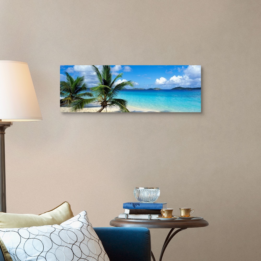 A traditional room featuring A panoramic photograph of a couple palm trees sitting on the Salomon Beach in the Virgin Islands....