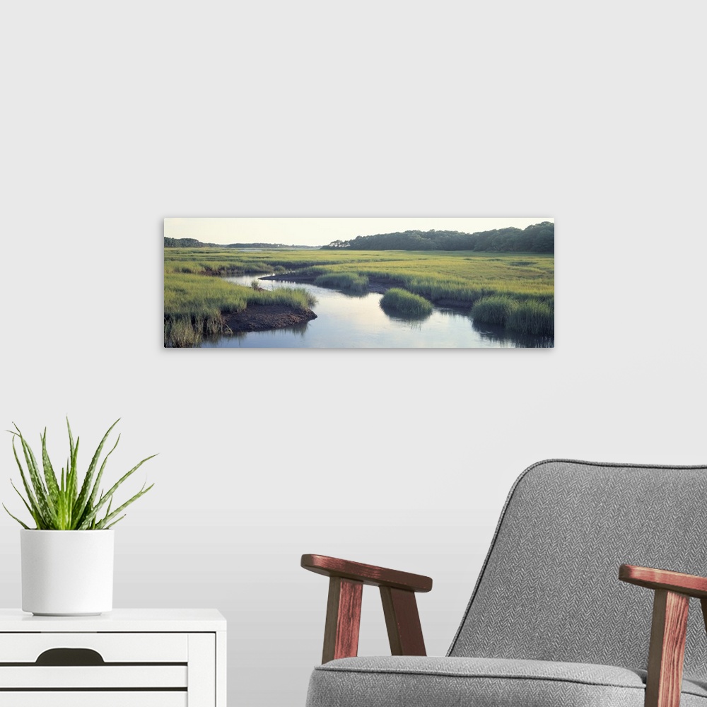 A modern room featuring Long horizontal photo on canvas of a river running through a marshy landscape.