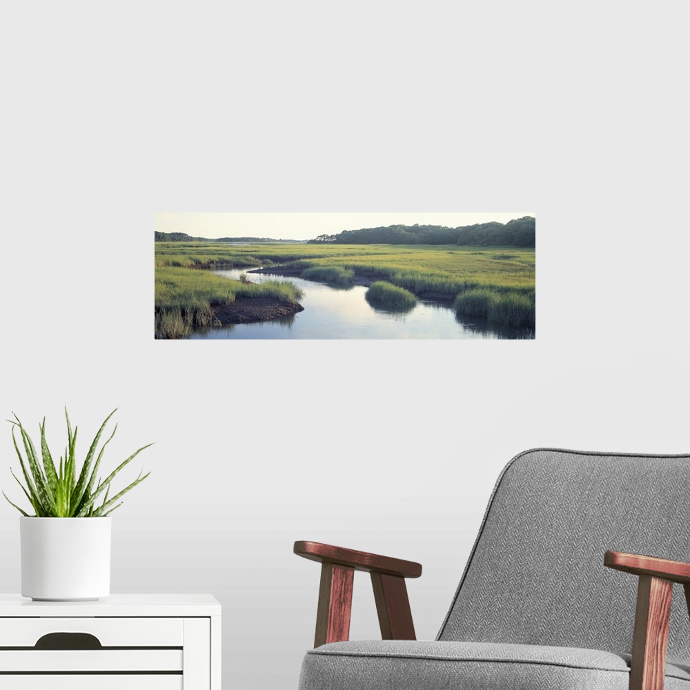 A modern room featuring Long horizontal photo on canvas of a river running through a marshy landscape.