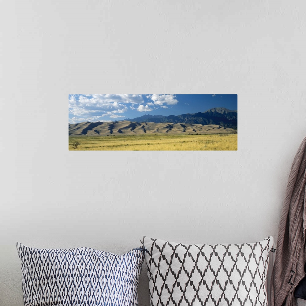 A bohemian room featuring Sand dunes along a grassy field, Colorado