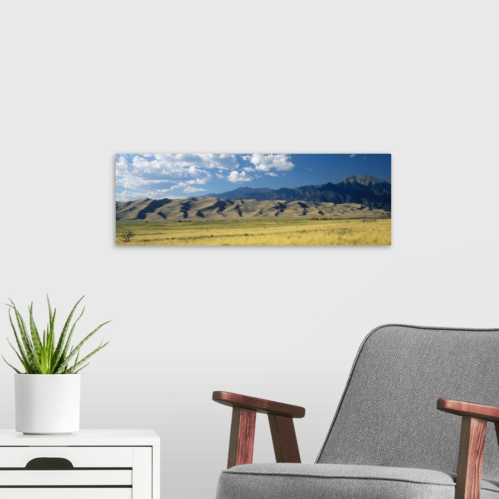 A modern room featuring Sand dunes along a grassy field, Colorado