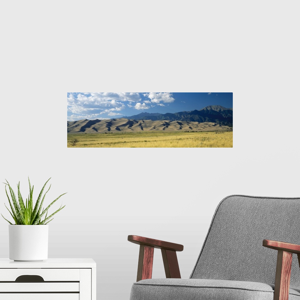 A modern room featuring Sand dunes along a grassy field, Colorado