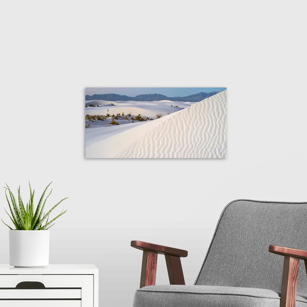 A modern room featuring Sand dunes and Yuccas at White Sands National Monument, New Mexico, USA.