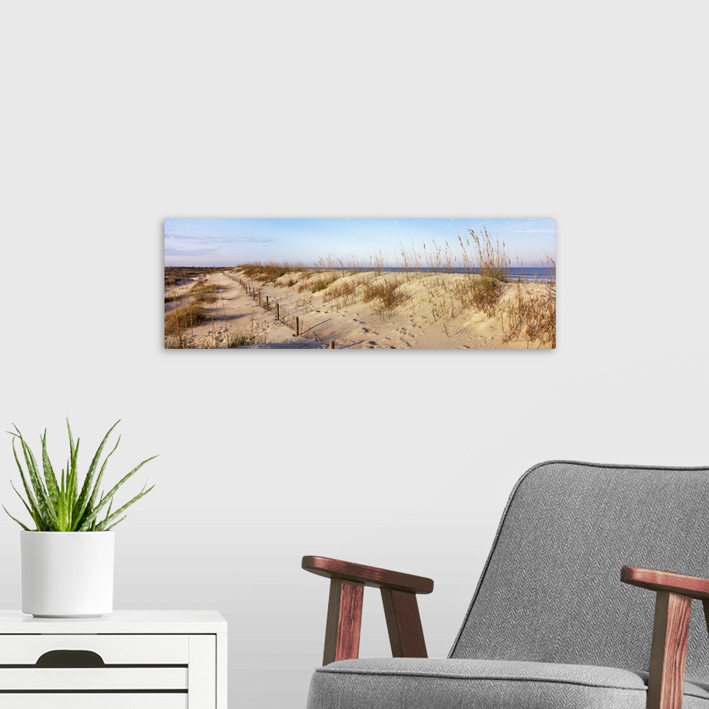 A modern room featuring Large horizontal photograph of grassy sand dunes on a beach at the Anastasia State Recreation Are...