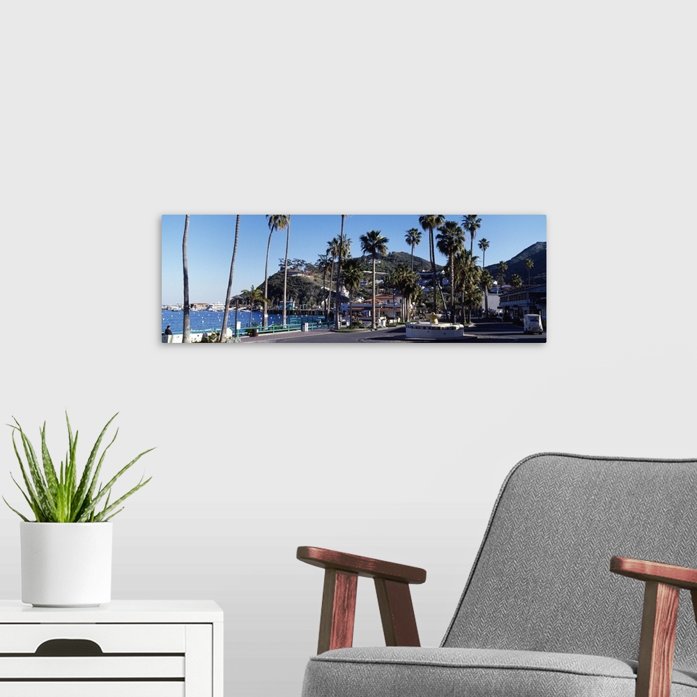 A modern room featuring Santa Catalina Island CA
