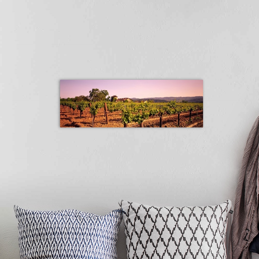 A bohemian room featuring Panoramic photograph of grape vineyard with mountains in the distance.