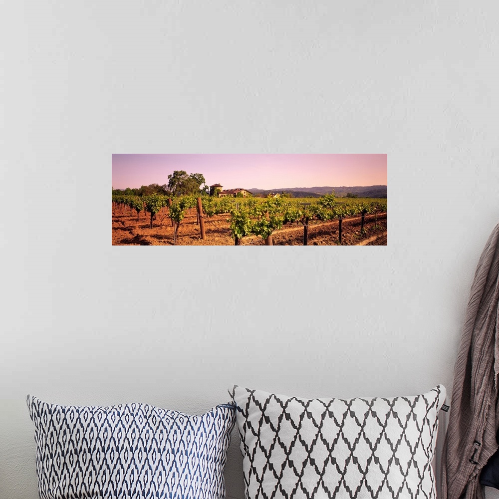 A bohemian room featuring Panoramic photograph of grape vineyard with mountains in the distance.