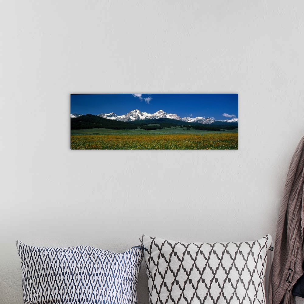 A bohemian room featuring Panoramic image of a field of wildflowers blooming in front of the Sawtooth Mountains in Stanley,...