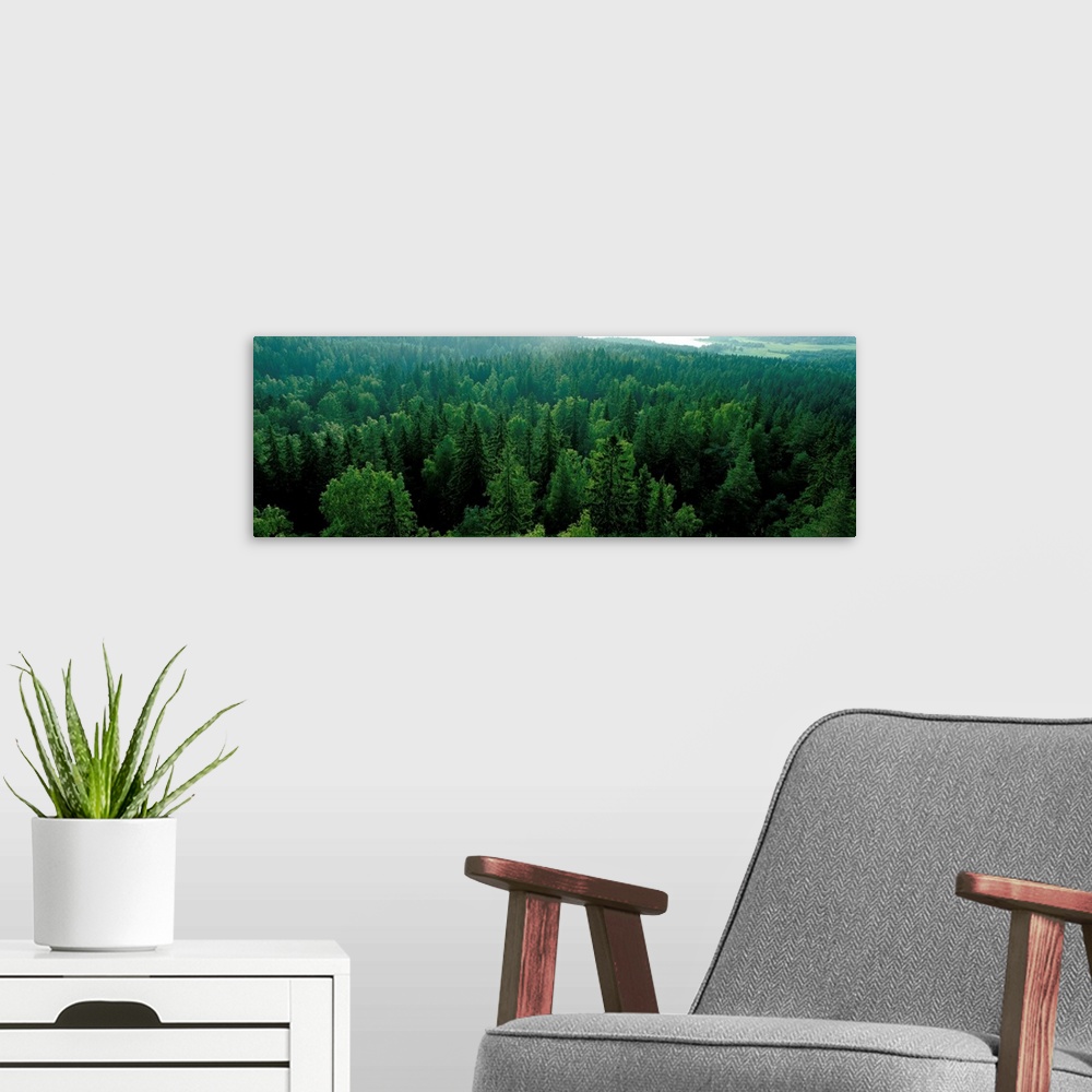 A modern room featuring Scandinavian Forest, (Aulanko,) Finland