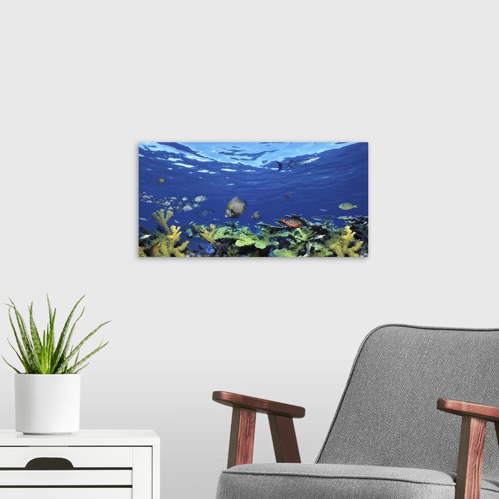 A modern room featuring School of fish swimming in the sea, Digital Composite
