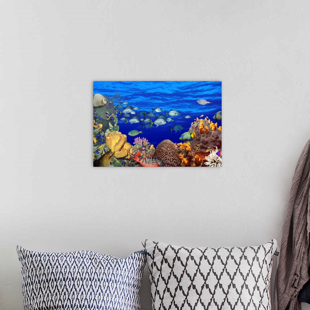 A bohemian room featuring A digital composite of fish swimming in a coral reef to create an underwater seascape on this hor...