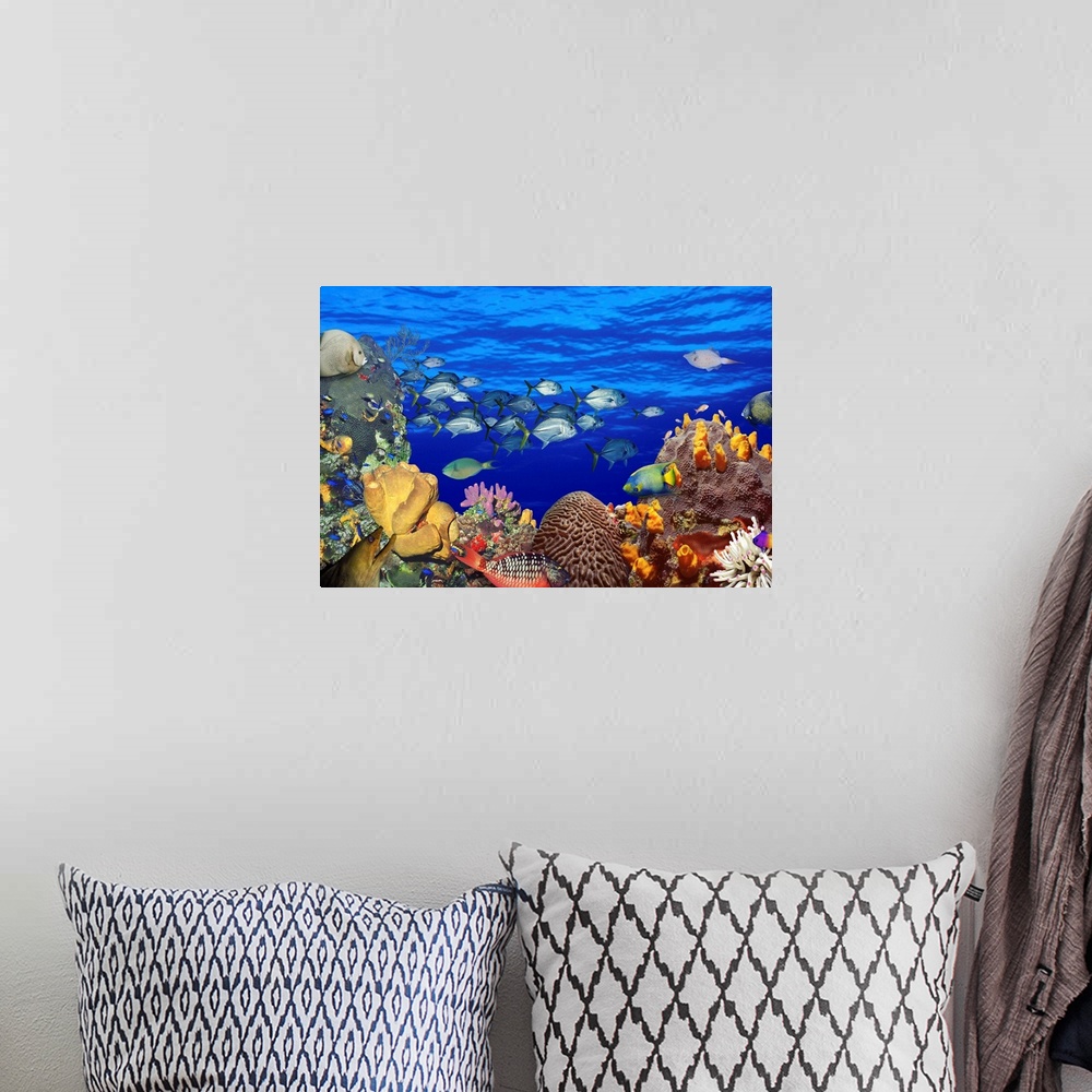 A bohemian room featuring A digital composite of fish swimming in a coral reef to create an underwater seascape on this hor...