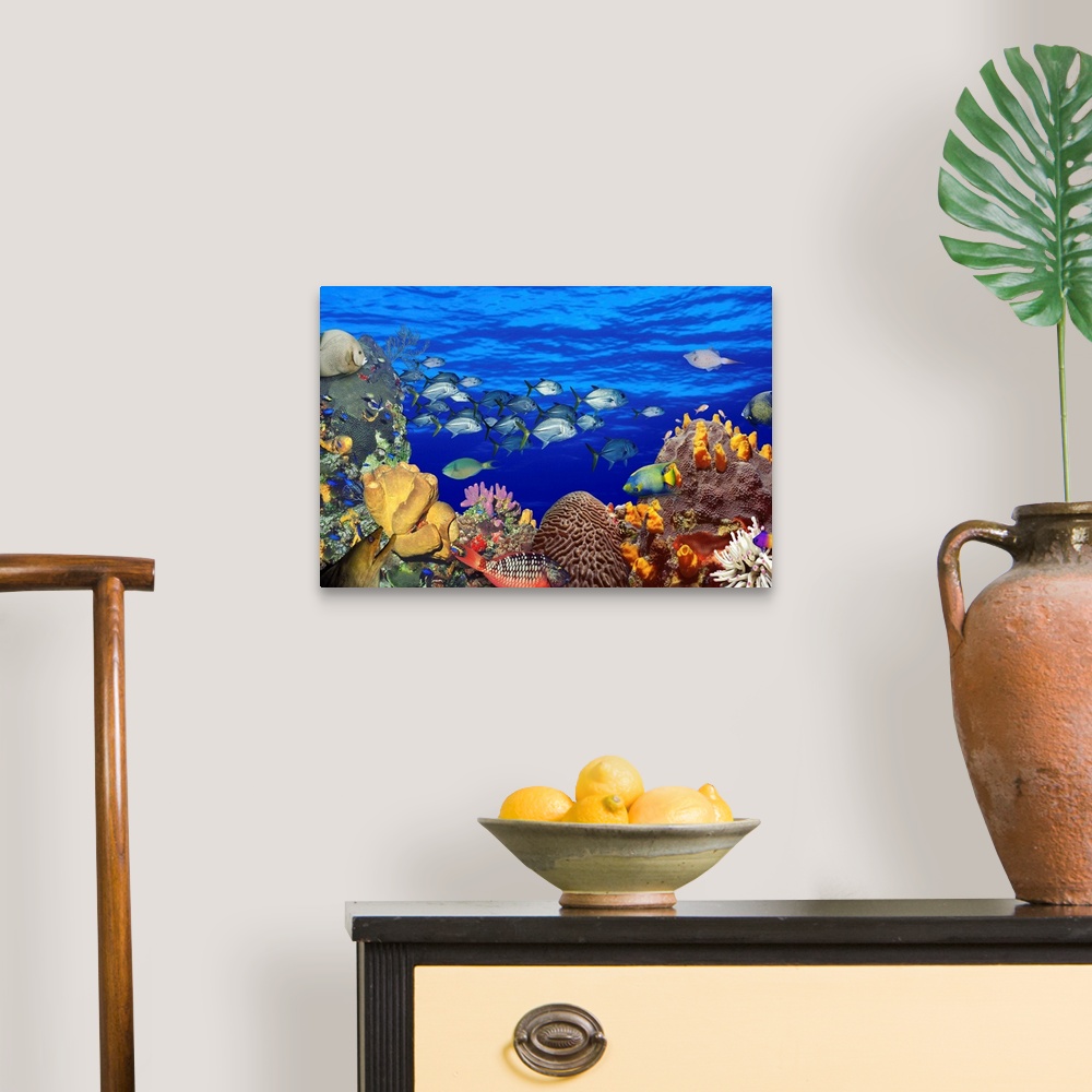 A traditional room featuring A digital composite of fish swimming in a coral reef to create an underwater seascape on this hor...