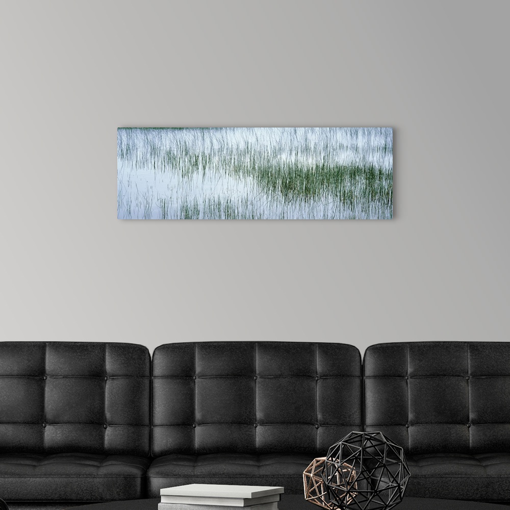 A modern room featuring Scotland, Isle of Mull, reed filled pond