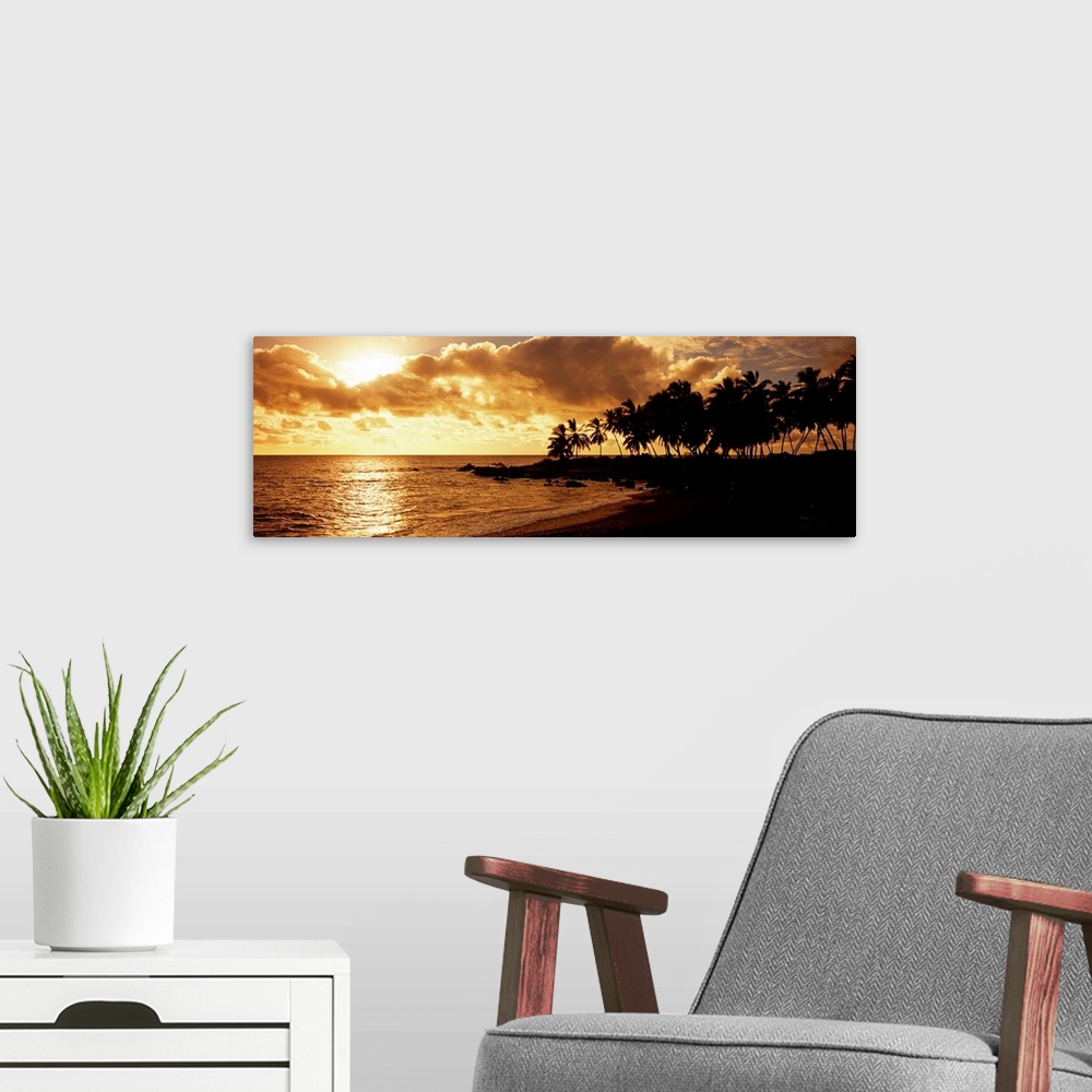 A modern room featuring A panoramic photograph of palm trees lining the shore of a tropical beach as the sun sinks behind...