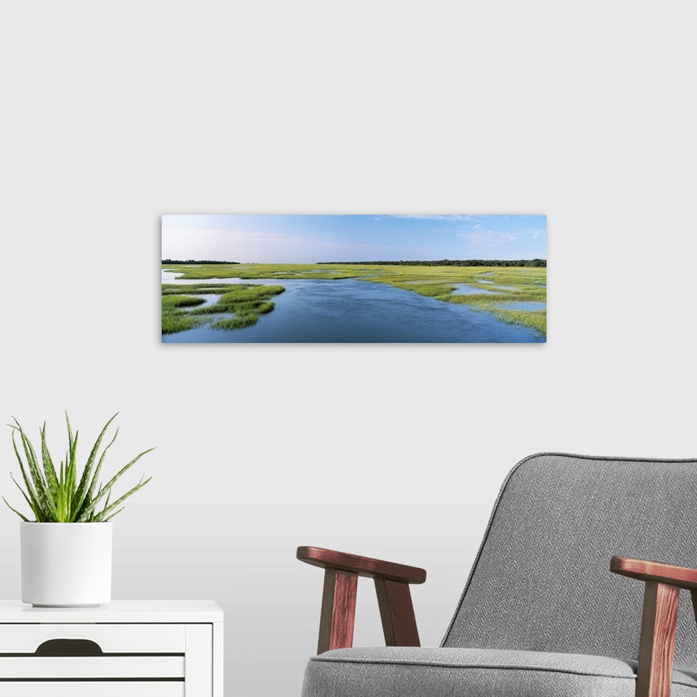 A modern room featuring Sea grass in the sea, Atlantic Coast, Jacksonville, Florida