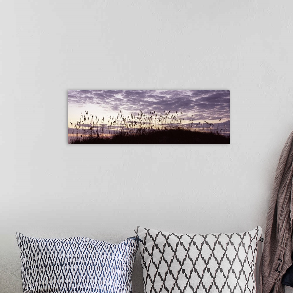 A bohemian room featuring Panoramic photo on canvas of sea grass silhouetted against a sunrise.