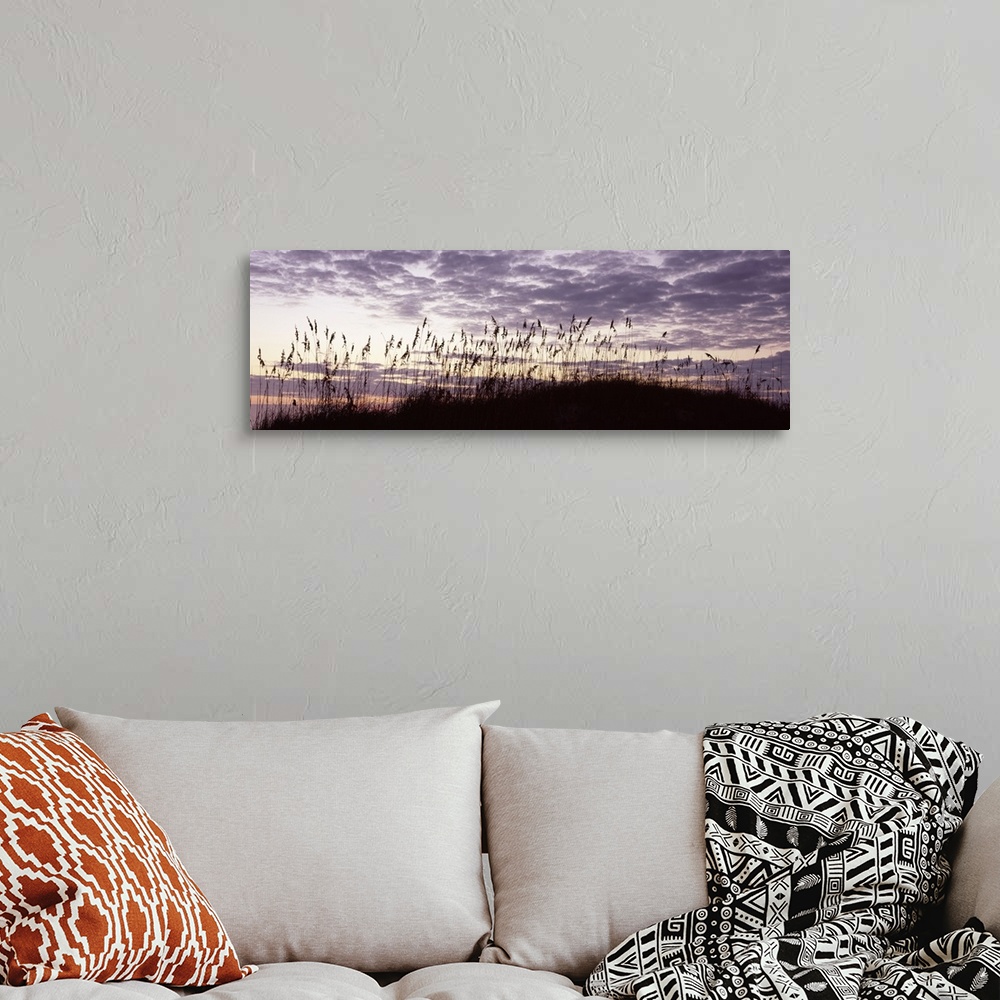A bohemian room featuring Panoramic photo on canvas of sea grass silhouetted against a sunrise.