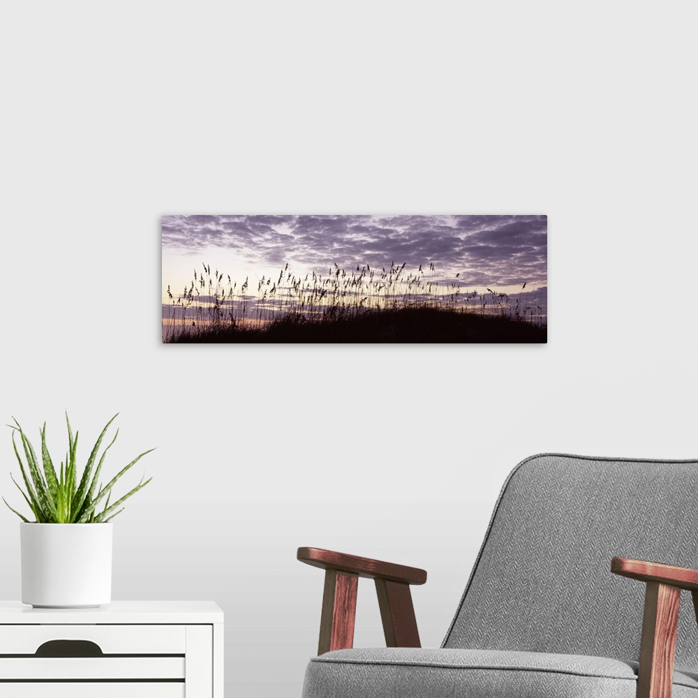 A modern room featuring Panoramic photo on canvas of sea grass silhouetted against a sunrise.