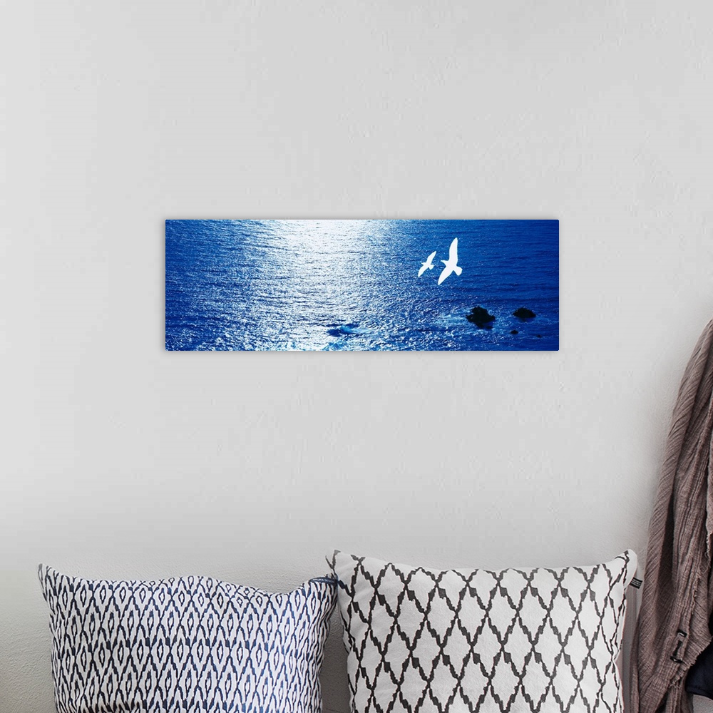 A bohemian room featuring Seagulls flying over water