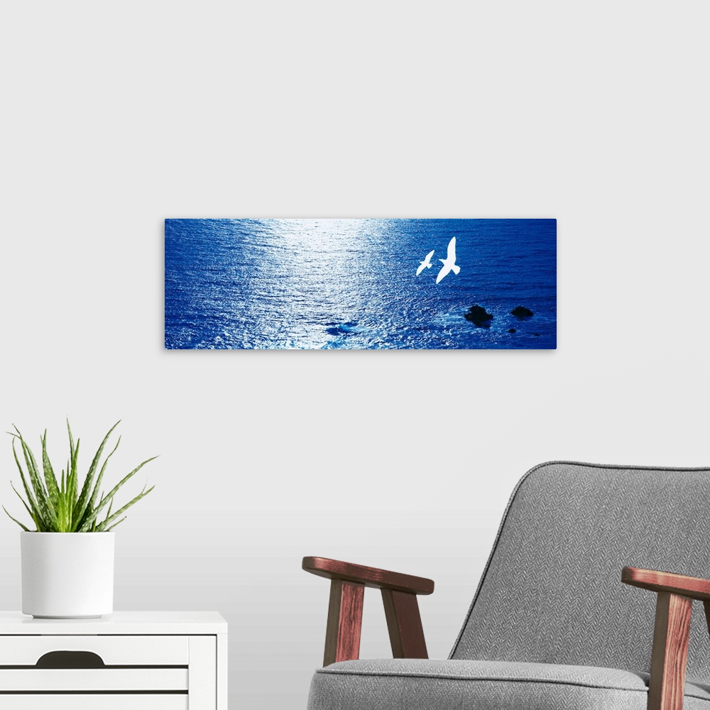 A modern room featuring Seagulls flying over water