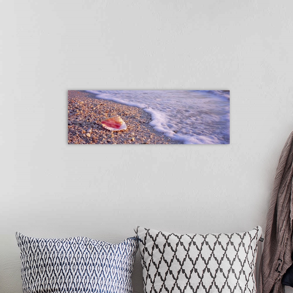 A bohemian room featuring A panoramic image of a single conch shell sitting on a shell and rocky beach as foamy seas break ...