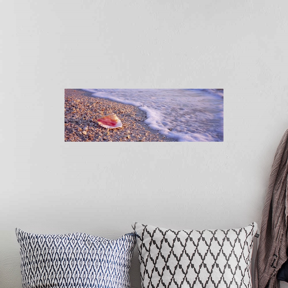 A bohemian room featuring A panoramic image of a single conch shell sitting on a shell and rocky beach as foamy seas break ...