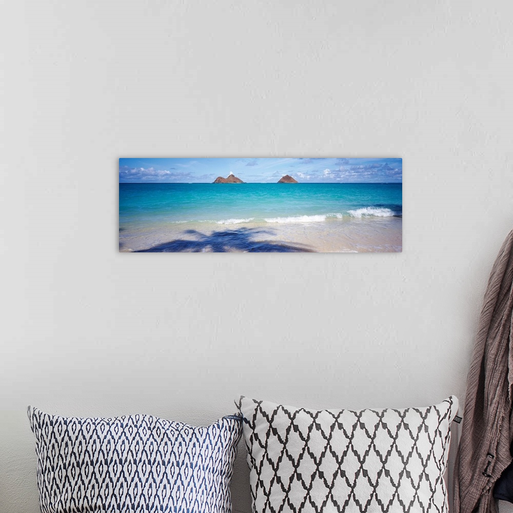 A bohemian room featuring Panoramic landscape photograph of a tropical beach with the silhouette of a palm cast on the shore.
