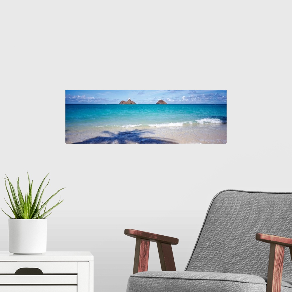 A modern room featuring Panoramic landscape photograph of a tropical beach with the silhouette of a palm cast on the shore.