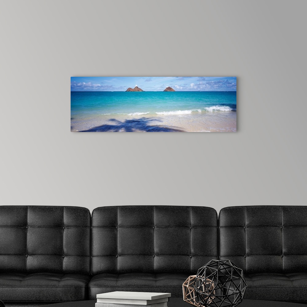 A modern room featuring Panoramic landscape photograph of a tropical beach with the silhouette of a palm cast on the shore.