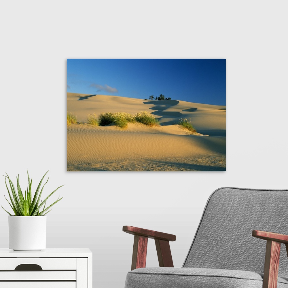 A modern room featuring Shadows And Grasses On Sand Dunes