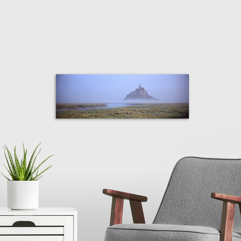 A modern room featuring Sheep grazing in meadow at morning, Mont Saint Michel, Normandy, France