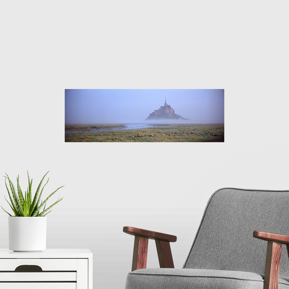 A modern room featuring Sheep grazing in meadow at morning, Mont Saint Michel, Normandy, France